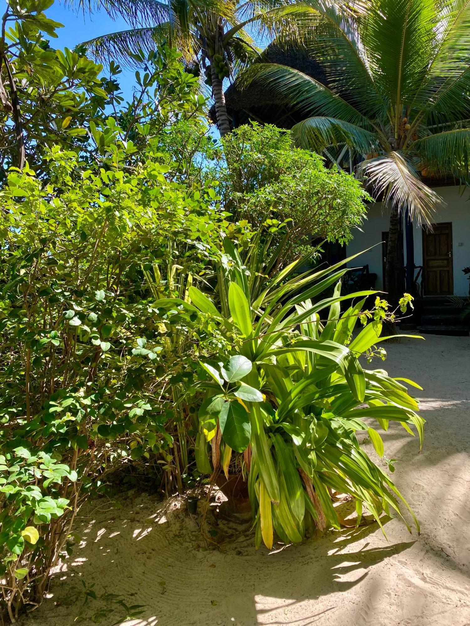 The Seles Boutique Hotel Gazija 외부 사진